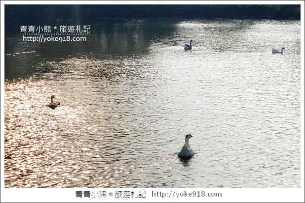 台中景點》霧峰林家萊園．綜藝玩很大拍攝地，水上涼庭美麗台式建築 @青青小熊＊旅遊札記