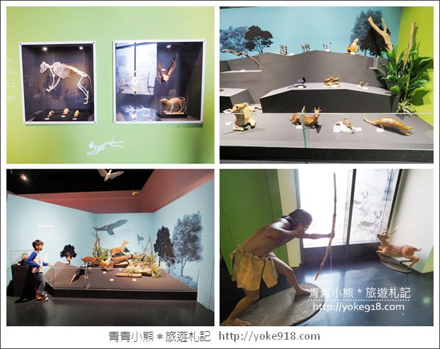 台南新景點》南科考古館.新奇有趣最新開幕親子景點~一起拍照去 @青青小熊*旅遊札記 台南新景點》南科考古館.新奇有趣最新開幕親子景點~一起拍照去 @青青小熊*旅遊札記