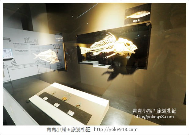 台南新景點》南科考古館．新奇有趣最新開幕親子景點~一起拍照去 @青青小熊＊旅遊札記