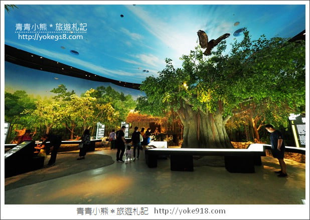 台南新景點》南科考古館.新奇有趣最新開幕親子景點~一起拍照去 @青青小熊*旅遊札記 台南新景點》南科考古館.新奇有趣最新開幕親子景點~一起拍照去 @青青小熊*旅遊札記
