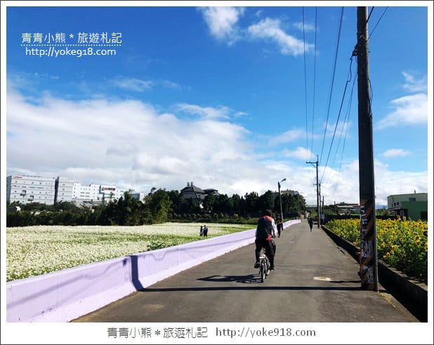 桃園景點》桃園平鎮花彩節隱身花海的摩艾像.花現平鎮幸福農來 @青青小熊*旅遊札記 桃園景點》桃園平鎮花彩節隱身花海的摩艾像.花現平鎮幸福農來 @青青小熊*旅遊札記