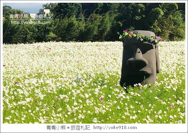 桃園景點》桃園平鎮花彩節隱身花海的摩艾像.花現平鎮幸福農來 @青青小熊*旅遊札記 桃園景點》桃園平鎮花彩節隱身花海的摩艾像.花現平鎮幸福農來 @青青小熊*旅遊札記