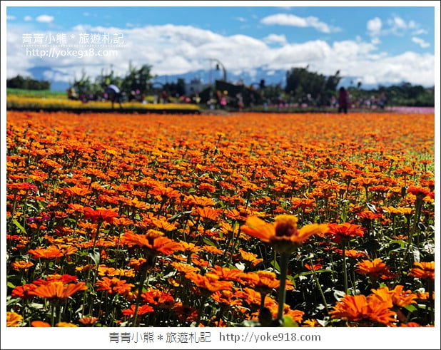 桃園景點》桃園平鎮花彩節隱身花海的摩艾像.花現平鎮幸福農來 @青青小熊*旅遊札記 桃園景點》桃園平鎮花彩節隱身花海的摩艾像.花現平鎮幸福農來 @青青小熊*旅遊札記