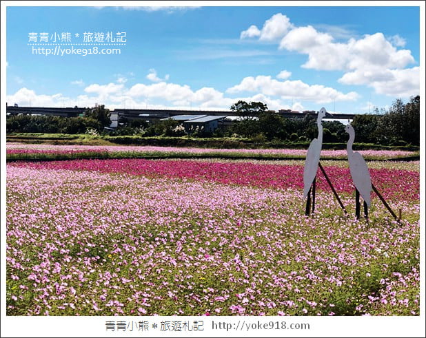 桃園景點》桃園平鎮花彩節隱身花海的摩艾像.花現平鎮幸福農來 @青青小熊*旅遊札記 桃園景點》桃園平鎮花彩節隱身花海的摩艾像.花現平鎮幸福農來 @青青小熊*旅遊札記