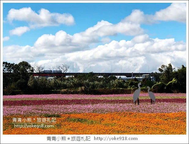桃園景點》桃園平鎮花彩節隱身花海的摩艾像.花現平鎮幸福農來 @青青小熊*旅遊札記 桃園景點》桃園平鎮花彩節隱身花海的摩艾像.花現平鎮幸福農來 @青青小熊*旅遊札記