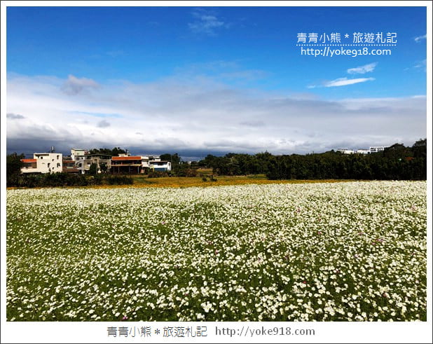 桃園景點》桃園平鎮花彩節隱身花海的摩艾像.花現平鎮幸福農來 @青青小熊*旅遊札記 桃園景點》桃園平鎮花彩節隱身花海的摩艾像.花現平鎮幸福農來 @青青小熊*旅遊札記