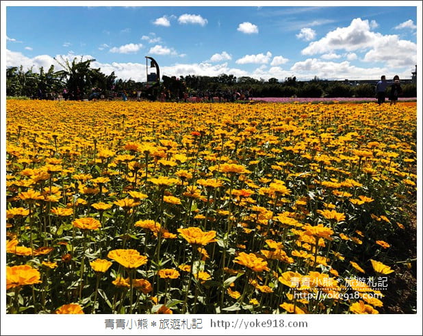 桃園景點》桃園平鎮花彩節隱身花海的摩艾像.花現平鎮幸福農來 @青青小熊*旅遊札記 桃園景點》桃園平鎮花彩節隱身花海的摩艾像.花現平鎮幸福農來 @青青小熊*旅遊札記