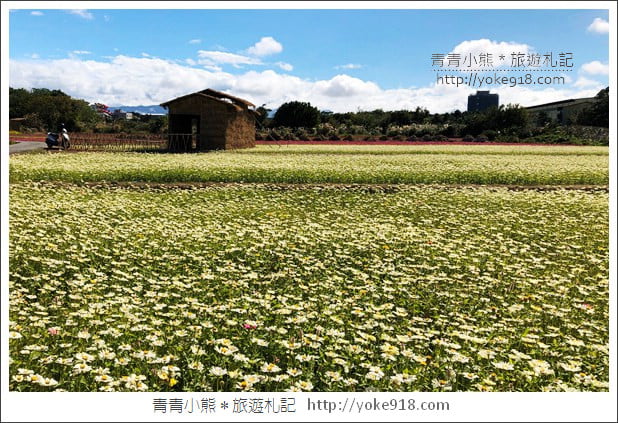 桃園景點》桃園平鎮花彩節隱身花海的摩艾像．花現平鎮幸福農來 @青青小熊＊旅遊札記