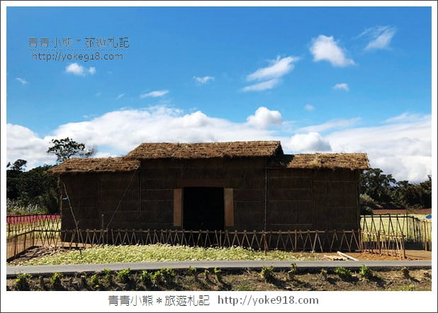 桃園景點》桃園平鎮花彩節隱身花海的摩艾像.花現平鎮幸福農來 @青青小熊*旅遊札記 桃園景點》桃園平鎮花彩節隱身花海的摩艾像.花現平鎮幸福農來 @青青小熊*旅遊札記