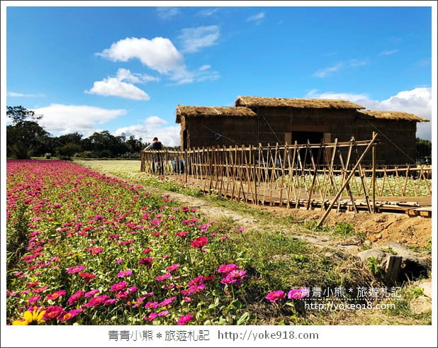 桃園景點》桃園平鎮花彩節隱身花海的摩艾像.花現平鎮幸福農來 @青青小熊*旅遊札記 桃園景點》桃園平鎮花彩節隱身花海的摩艾像.花現平鎮幸福農來 @青青小熊*旅遊札記