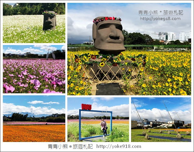 桃園景點》桃園平鎮花彩節隱身花海的摩艾像.花現平鎮幸福農來 @青青小熊*旅遊札記 桃園景點》桃園平鎮花彩節隱身花海的摩艾像.花現平鎮幸福農來 @青青小熊*旅遊札記