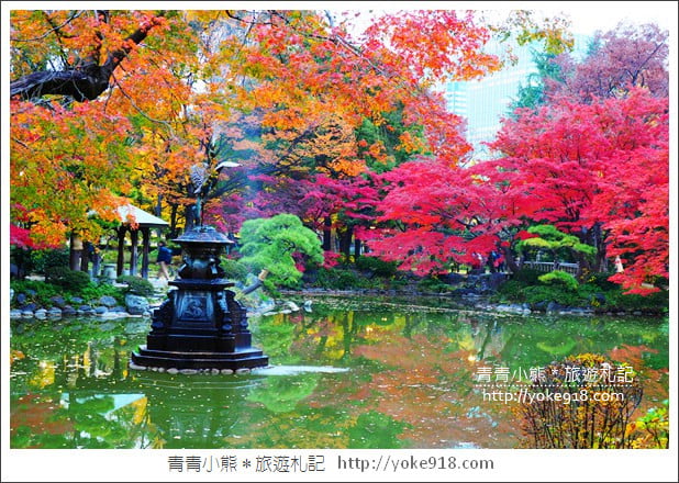 東京賞楓推薦》東京賞楓葉、賞銀杏、燈飾必去景點.從早玩到晚行程推薦 @青青小熊*旅遊札記 東京賞楓推薦》東京賞楓葉、賞銀杏、燈飾必去景點.從早玩到晚行程推薦 @青青小熊*旅遊札記