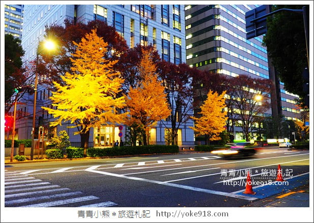東京賞楓推薦》東京賞楓葉、賞銀杏、燈飾必去景點．從早玩到晚行程推薦 @青青小熊＊旅遊札記