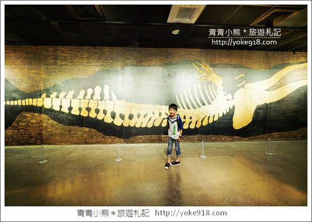 台南景點》臺南左鎮化石園區．親子同遊推薦~考古也可以新奇有趣又好玩 @青青小熊＊旅遊札記