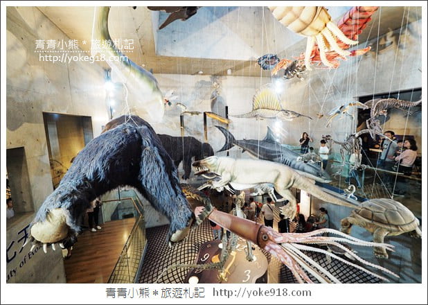 台南景點》臺南左鎮化石園區．親子同遊推薦~考古也可以新奇有趣又好玩 @青青小熊＊旅遊札記