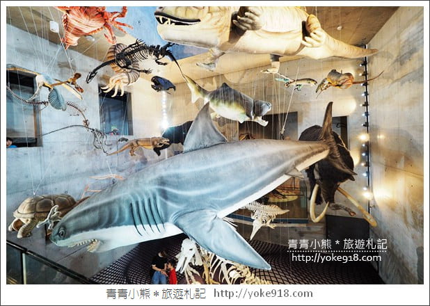 台南景點》臺南左鎮化石園區．親子同遊推薦~考古也可以新奇有趣又好玩 @青青小熊＊旅遊札記