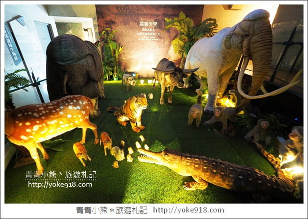 台南景點》臺南左鎮化石園區．親子同遊推薦~考古也可以新奇有趣又好玩 @青青小熊＊旅遊札記