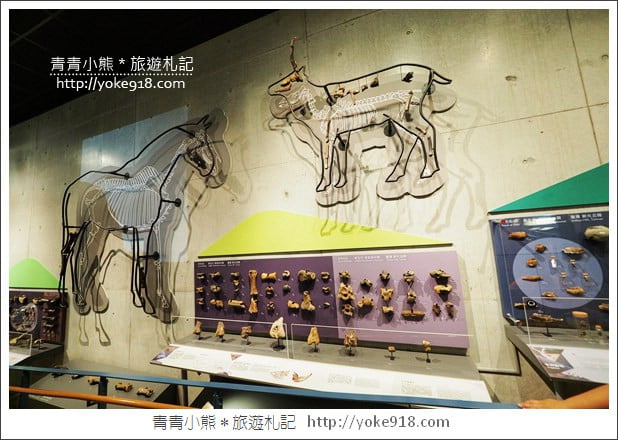 台南景點》臺南左鎮化石園區．親子同遊推薦~考古也可以新奇有趣又好玩 @青青小熊＊旅遊札記