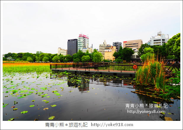 東京上野住宿推薦》上野世紀飯店Centurion Hotel Ueno~逛街購物超方便 @青青小熊*旅遊札記 東京上野住宿推薦》上野世紀飯店Centurion Hotel Ueno~逛街購物超方便 @青青小熊*旅遊札記