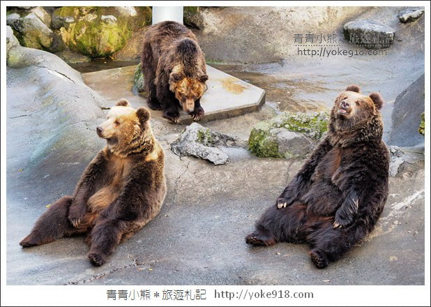 九州親子自由行》JR九州鐵路周遊券．來去搭阿蘇男孩號~九州親子遊就醬玩 @青青小熊＊旅遊札記