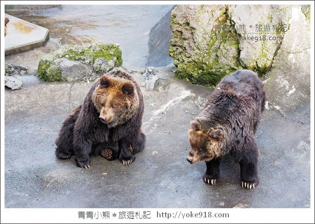 九州親子自由行》JR九州鐵路周遊券．來去搭阿蘇男孩號~九州親子遊就醬玩 @青青小熊＊旅遊札記