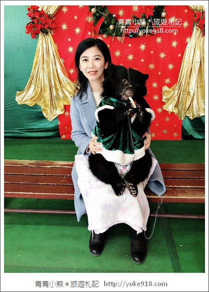 九州親子自由行》JR九州鐵路周遊券．來去搭阿蘇男孩號~九州親子遊就醬玩 @青青小熊＊旅遊札記