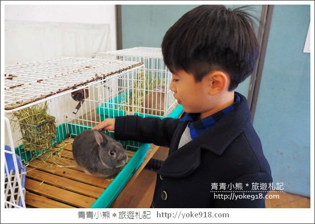 九州親子自由行》JR九州鐵路周遊券．來去搭阿蘇男孩號~九州親子遊就醬玩 @青青小熊＊旅遊札記