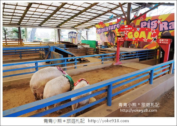 九州親子自由行》JR九州鐵路周遊券．來去搭阿蘇男孩號~九州親子遊就醬玩 @青青小熊＊旅遊札記