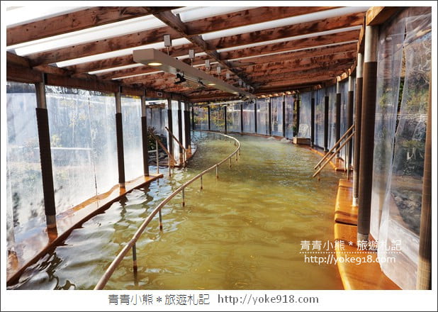 九州親子自由行》JR九州鐵路周遊券．來去搭阿蘇男孩號~九州親子遊就醬玩 @青青小熊＊旅遊札記