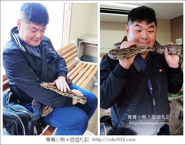 九州親子自由行》JR九州鐵路周遊券．來去搭阿蘇男孩號~九州親子遊就醬玩 @青青小熊＊旅遊札記