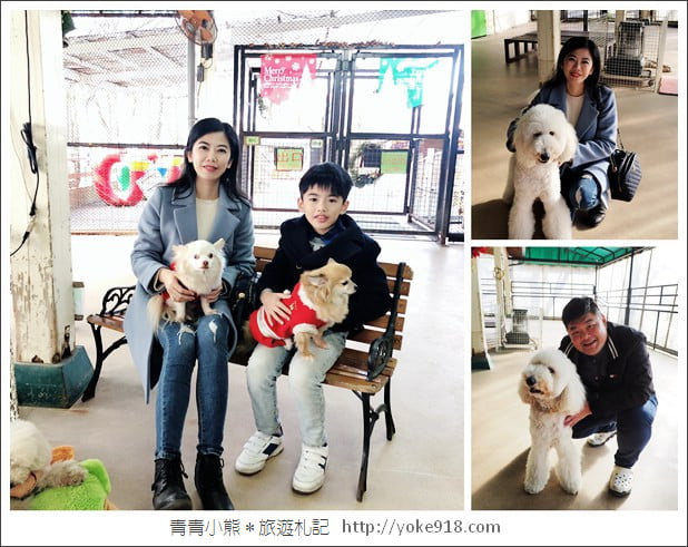 九州親子自由行》JR九州鐵路周遊券．來去搭阿蘇男孩號~九州親子遊就醬玩 @青青小熊＊旅遊札記