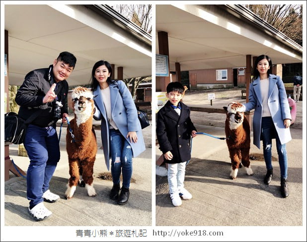 九州親子自由行》JR九州鐵路周遊券．來去搭阿蘇男孩號~九州親子遊就醬玩 @青青小熊＊旅遊札記