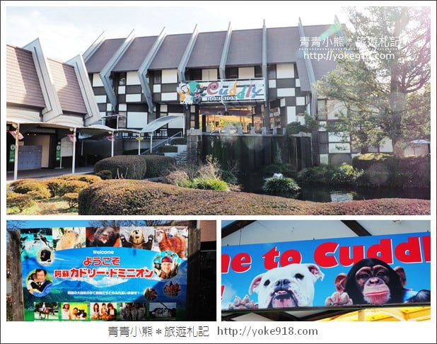 九州親子自由行》JR九州鐵路周遊券．來去搭阿蘇男孩號~九州親子遊就醬玩 @青青小熊＊旅遊札記