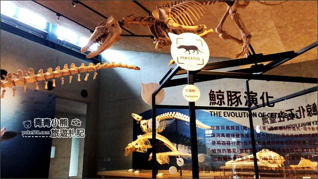 台南景點》臺南左鎮化石園區．親子同遊推薦~考古也可以新奇有趣又好玩 @青青小熊＊旅遊札記