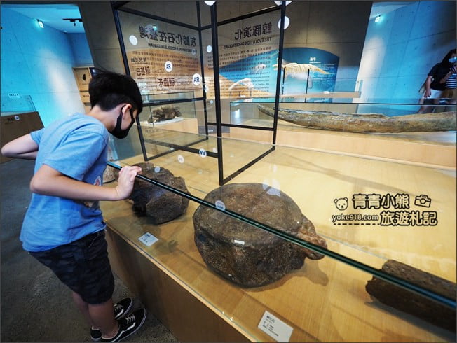 台南景點》臺南左鎮化石園區．親子同遊推薦~考古也可以新奇有趣又好玩 @青青小熊＊旅遊札記