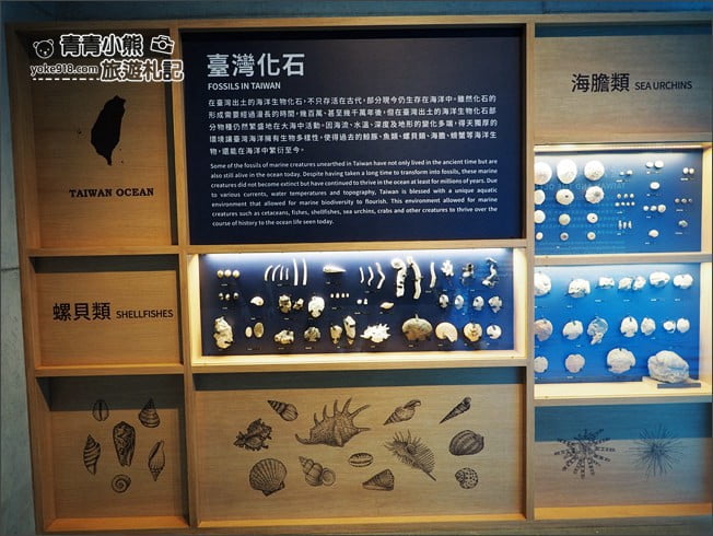 台南景點》臺南左鎮化石園區．親子同遊推薦~考古也可以新奇有趣又好玩 @青青小熊＊旅遊札記