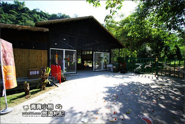 嘉義》阿里山景點．番路一日遊、必去景點，週邊好玩景點推薦 @青青小熊＊旅遊札記