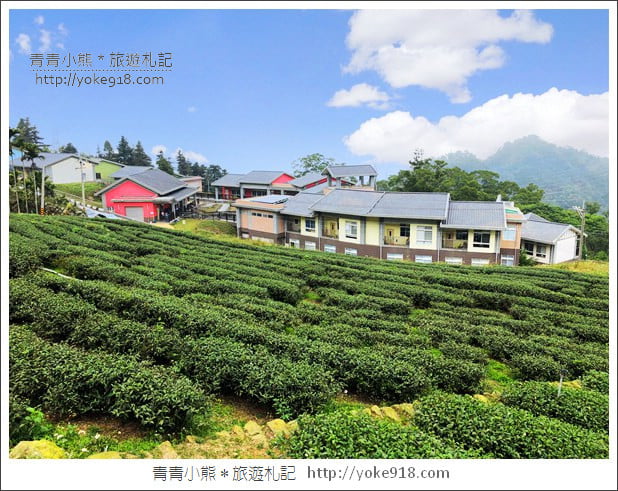雲林景點》古坑樟湖國小.馬卡龍色系最美的生態國小~茶園雲海好迷人 @青青小熊*旅遊札記 雲林景點》古坑樟湖國小.馬卡龍色系最美的生態國小~茶園雲海好迷人 @青青小熊*旅遊札記