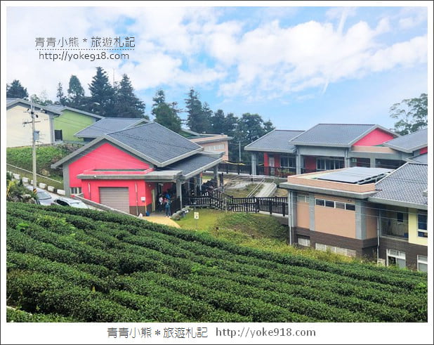 雲林景點》古坑樟湖國小.馬卡龍色系最美的生態國小~茶園雲海好迷人 @青青小熊*旅遊札記 雲林景點》古坑樟湖國小.馬卡龍色系最美的生態國小~茶園雲海好迷人 @青青小熊*旅遊札記