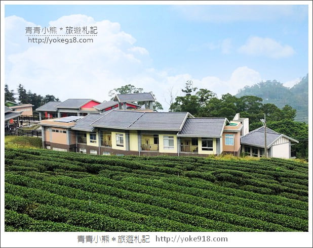 雲林景點》古坑樟湖國小．馬卡龍色系最美的生態國小~茶園雲海好迷人 @青青小熊＊旅遊札記