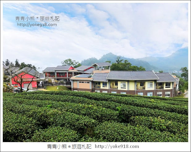 雲林景點》古坑樟湖國小.馬卡龍色系最美的生態國小~茶園雲海好迷人 @青青小熊*旅遊札記 雲林景點》古坑樟湖國小.馬卡龍色系最美的生態國小~茶園雲海好迷人 @青青小熊*旅遊札記