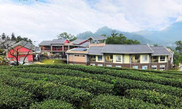 雲林景點》古坑樟湖國小．馬卡龍色系最美的生態國小~茶園雲海好迷人 @青青小熊＊旅遊札記