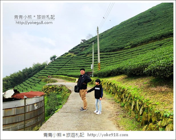 雲林景點》古坑樟湖國小.馬卡龍色系最美的生態國小~茶園雲海好迷人 @青青小熊*旅遊札記 雲林景點》古坑樟湖國小.馬卡龍色系最美的生態國小~茶園雲海好迷人 @青青小熊*旅遊札記