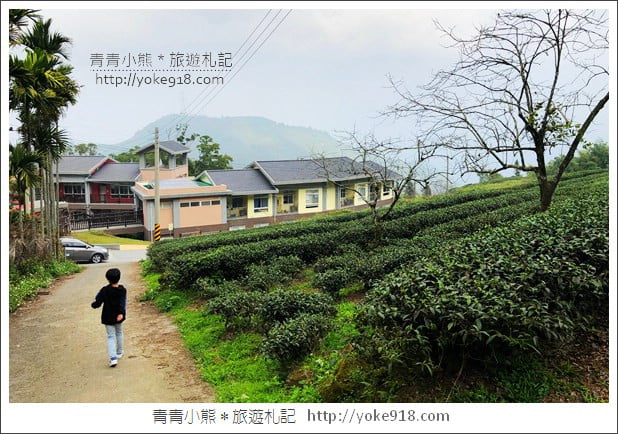 雲林景點》古坑樟湖國小.馬卡龍色系最美的生態國小~茶園雲海好迷人 @青青小熊*旅遊札記 雲林景點》古坑樟湖國小.馬卡龍色系最美的生態國小~茶園雲海好迷人 @青青小熊*旅遊札記