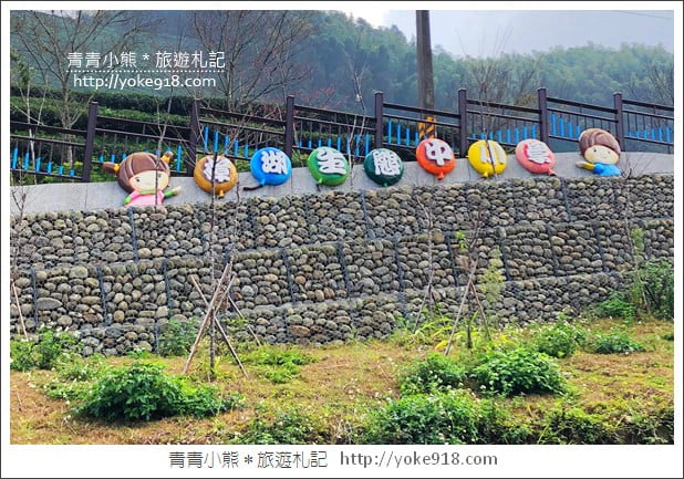 雲林景點》古坑樟湖國小.馬卡龍色系最美的生態國小~茶園雲海好迷人 @青青小熊*旅遊札記 雲林景點》古坑樟湖國小.馬卡龍色系最美的生態國小~茶園雲海好迷人 @青青小熊*旅遊札記