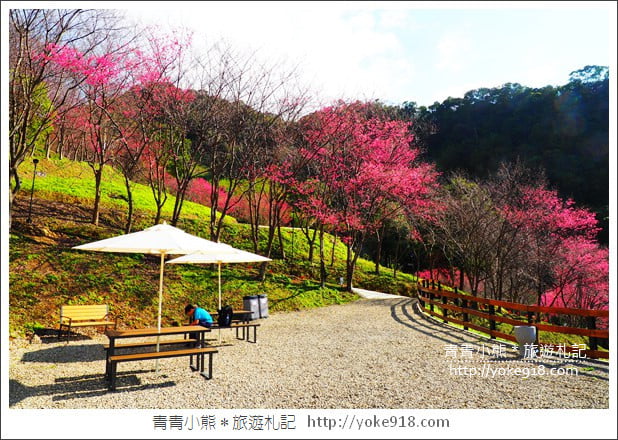 桃園新景點》翠墨莊園．山中櫻花秘境~新增設造景及兒童沙坑、戲水池 @青青小熊＊旅遊札記