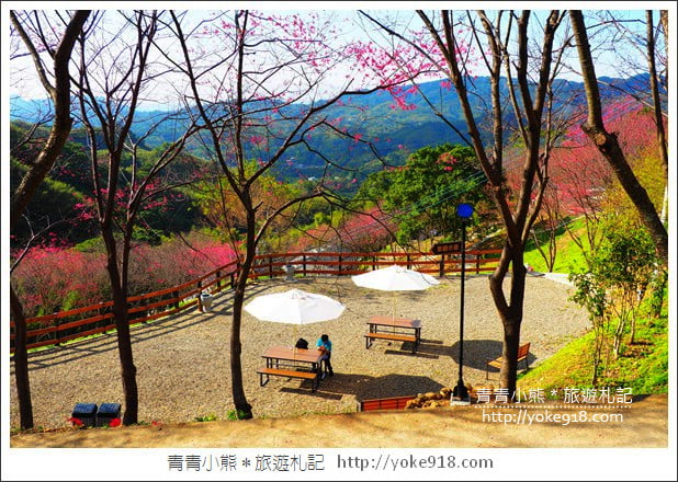 桃園新景點》翠墨莊園．山中櫻花秘境~新增設造景及兒童沙坑、戲水池 @青青小熊＊旅遊札記
