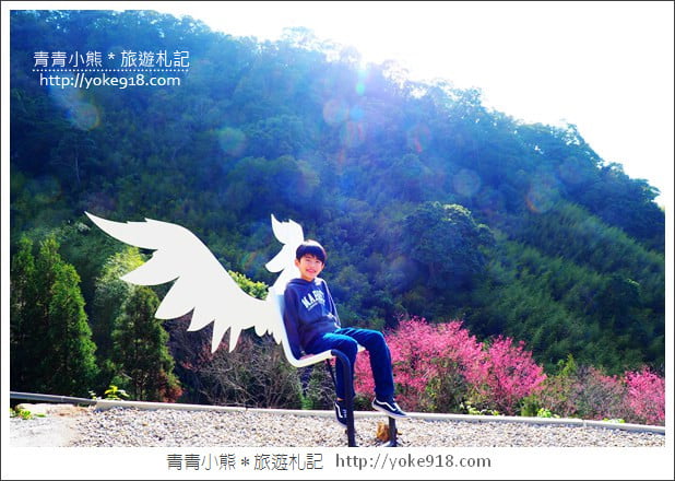 桃園新景點》翠墨莊園．山中櫻花秘境~新增設造景及兒童沙坑、戲水池 @青青小熊＊旅遊札記
