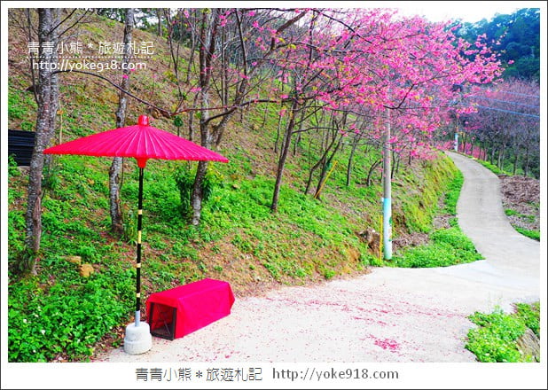 桃園新景點》翠墨莊園．山中櫻花秘境~新增設造景及兒童沙坑、戲水池 @青青小熊＊旅遊札記