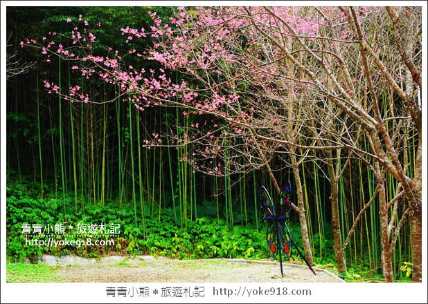 桃園新景點》翠墨莊園．山中櫻花秘境~新增設造景及兒童沙坑、戲水池 @青青小熊＊旅遊札記